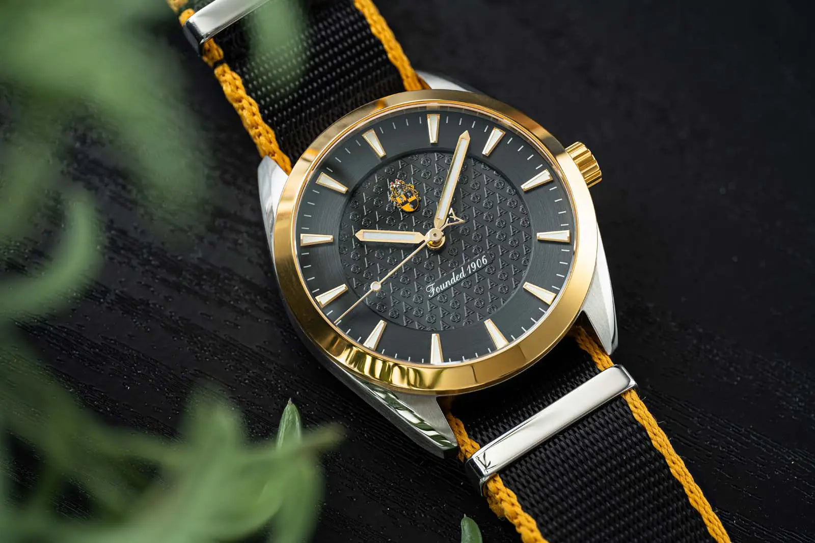 Alpha Phi Alpha - Kairos II