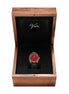 INDIANA-HEISMAN DIASIMOS - MENDOZA AUTOGRAPHED BOX SET EDITION