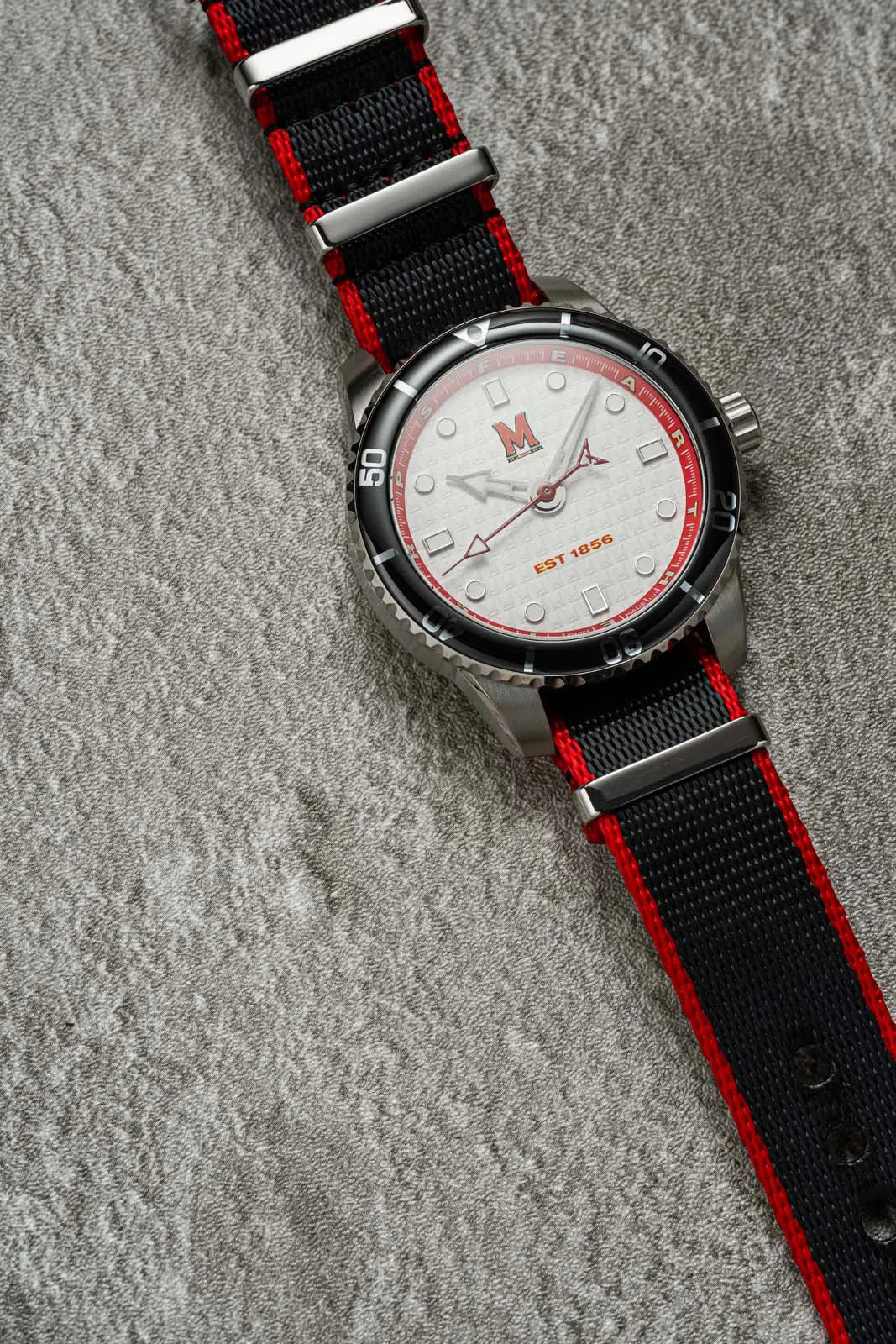 University of Maryland Timepiece